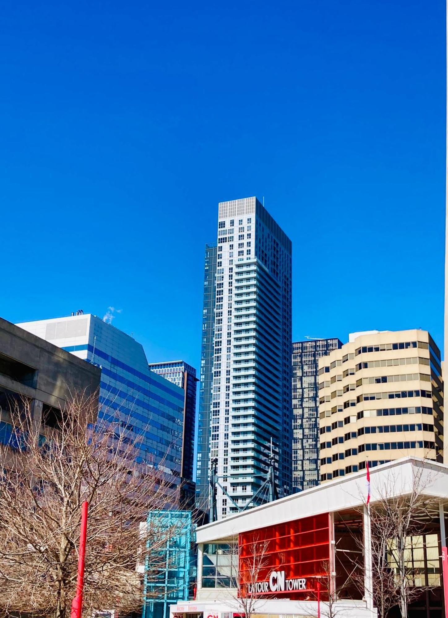 Central Toronto Suite - Free Parking, City Views, Near Cn Tower Exteriör bild